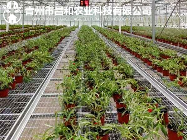 生態溫室