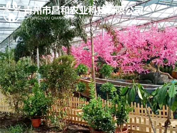 生態溫室